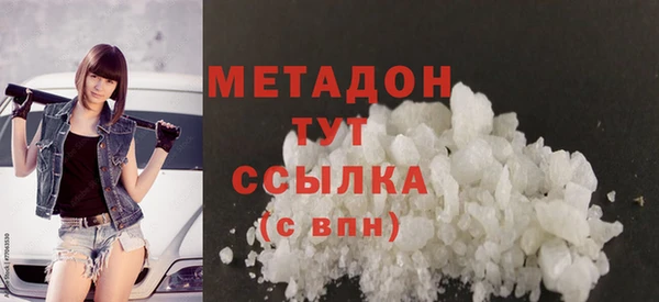 прущие грибы Белокуриха