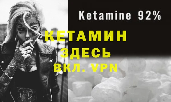 прущие грибы Белокуриха