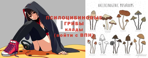 прущие грибы Белокуриха