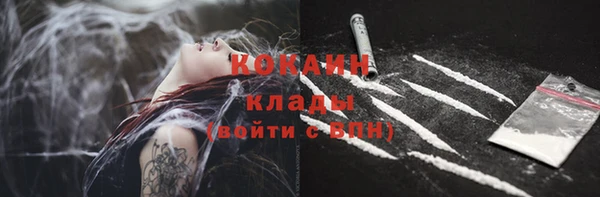 прущие грибы Белокуриха