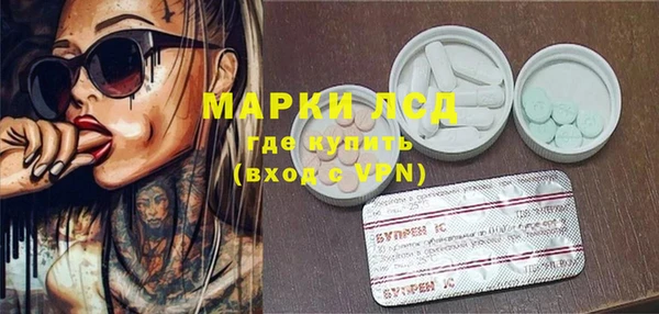 прущие грибы Белокуриха