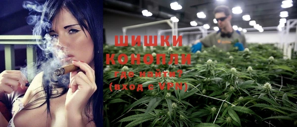 прущие грибы Белокуриха
