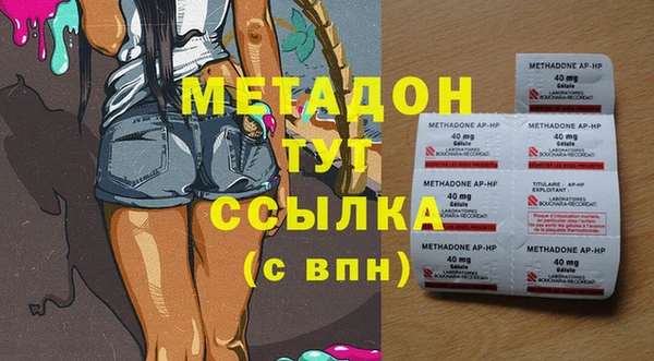 прущие грибы Белокуриха