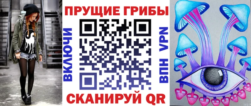 мориарти клад  Торопец  Галлюциногенные грибы Psilocybe 
