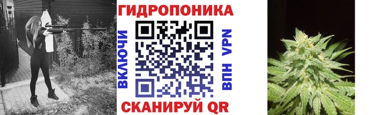 Шишки марихуана марихуана кракен рабочий сайт Торопец где найти наркотики
